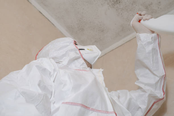 Water Damage Restoration in Woodsboro, MD